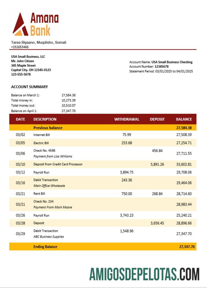 Imprimível Somália Amana Business Checking Account Statement Word And PDF modelo